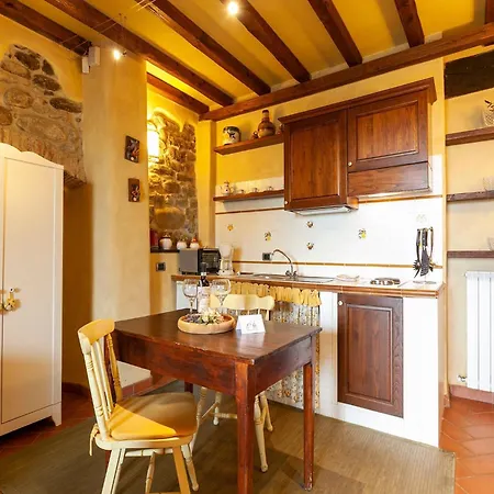 Nice In Campiglia With Sauna Apartment